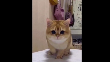 Topganhotty  13-07-2021 video busty